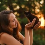 evening, kitten, woman, sunset, animal, girl, light, bokeh, nature, cute, outdoors, pet